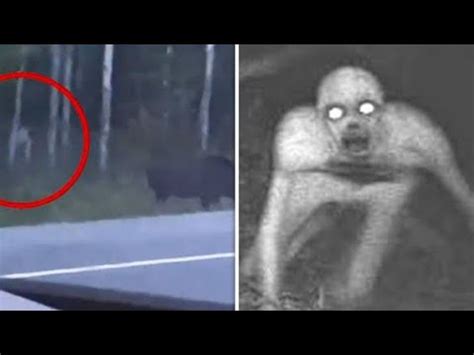 wendigo caught on camera